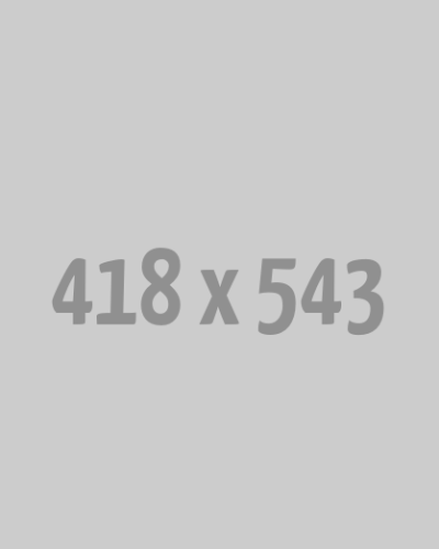 حملة تحسين محركات البحث والتسويق